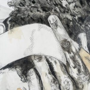 Shy – Image 4