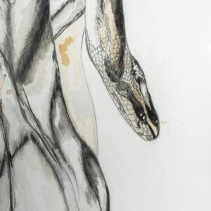 Shy – Image 5